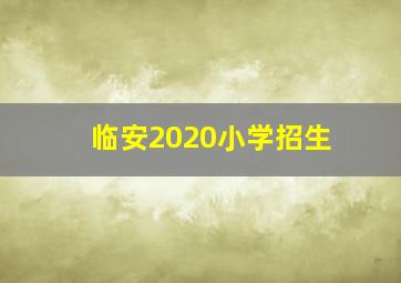 临安2020小学招生