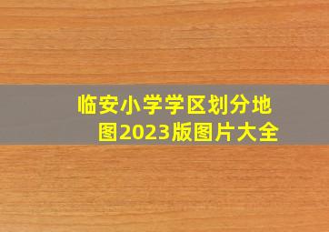 临安小学学区划分地图2023版图片大全