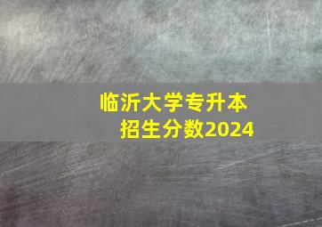 临沂大学专升本招生分数2024