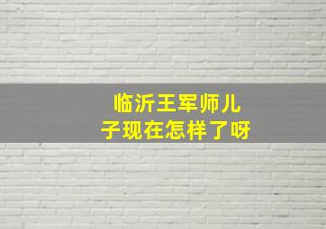 临沂王军师儿子现在怎样了呀