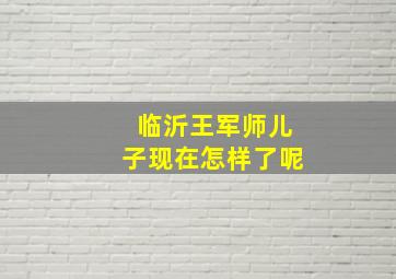 临沂王军师儿子现在怎样了呢