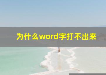 为什么word字打不出来