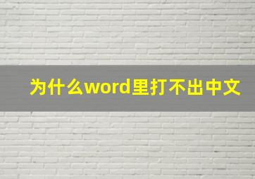 为什么word里打不出中文