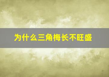 为什么三角梅长不旺盛