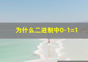 为什么二进制中0-1=1