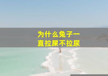 为什么兔子一直拉屎不拉尿