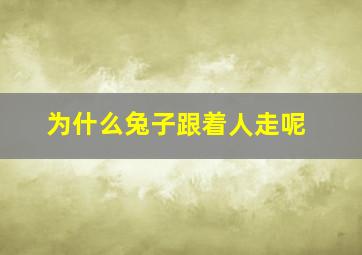 为什么兔子跟着人走呢