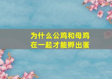 为什么公鸡和母鸡在一起才能孵出蛋