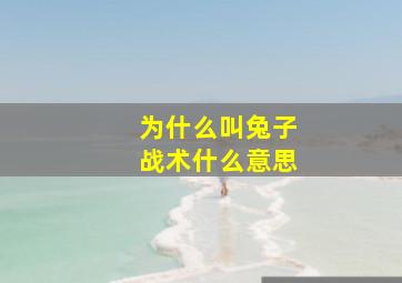 为什么叫兔子战术什么意思