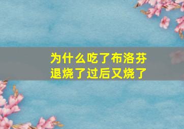 为什么吃了布洛芬退烧了过后又烧了