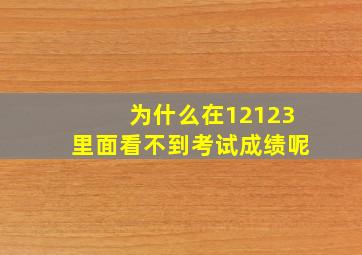 为什么在12123里面看不到考试成绩呢