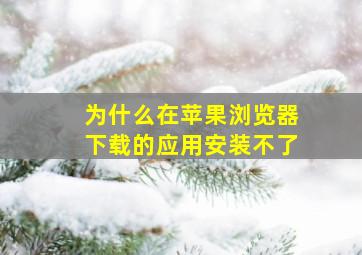 为什么在苹果浏览器下载的应用安装不了