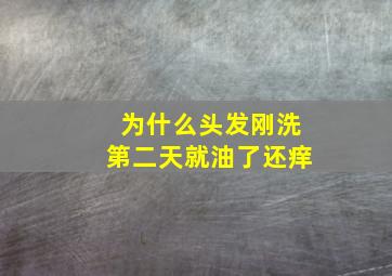 为什么头发刚洗第二天就油了还痒