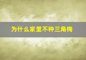 为什么家里不种三角梅