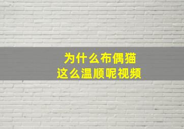 为什么布偶猫这么温顺呢视频