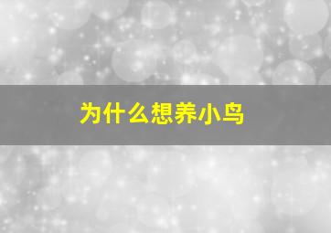 为什么想养小鸟