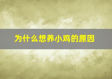 为什么想养小鸡的原因