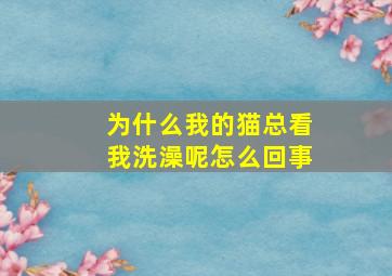 为什么我的猫总看我洗澡呢怎么回事