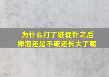 为什么打了绒促针之后卵泡还是不破还长大了呢