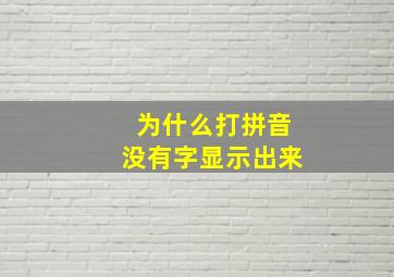 为什么打拼音没有字显示出来