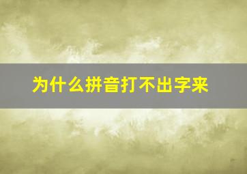 为什么拼音打不出字来