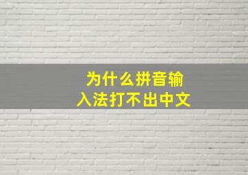 为什么拼音输入法打不出中文