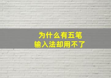 为什么有五笔输入法却用不了