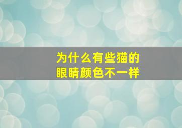 为什么有些猫的眼睛颜色不一样