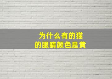 为什么有的猫的眼睛颜色是黄