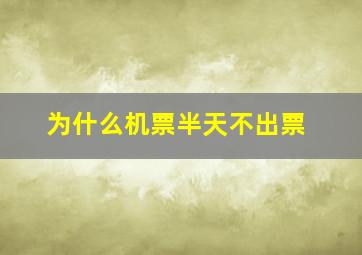 为什么机票半天不出票