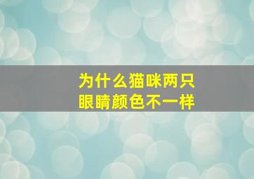 为什么猫咪两只眼睛颜色不一样