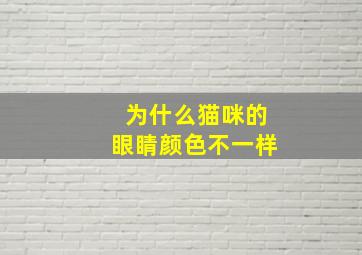 为什么猫咪的眼睛颜色不一样