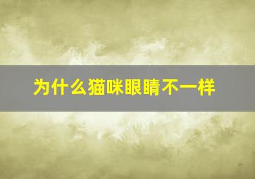 为什么猫咪眼睛不一样