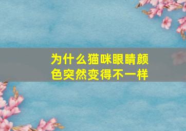 为什么猫咪眼睛颜色突然变得不一样