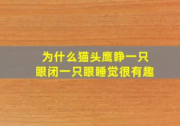 为什么猫头鹰睁一只眼闭一只眼睡觉很有趣