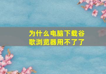 为什么电脑下载谷歌浏览器用不了了