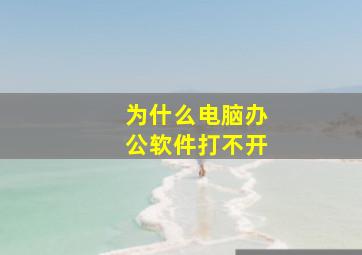 为什么电脑办公软件打不开