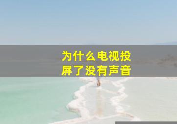 为什么电视投屏了没有声音