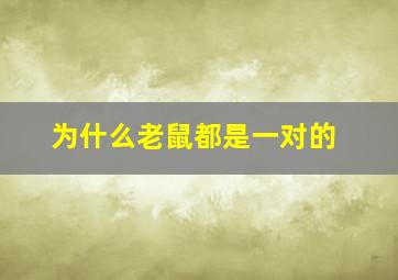 为什么老鼠都是一对的