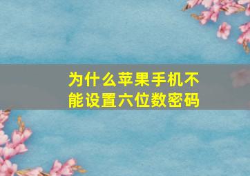 为什么苹果手机不能设置六位数密码