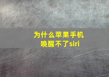 为什么苹果手机唤醒不了siri