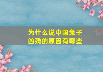 为什么说中国兔子凶残的原因有哪些