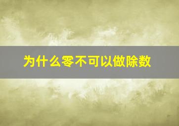 为什么零不可以做除数