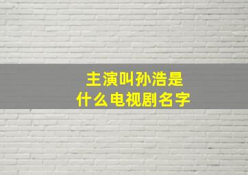 主演叫孙浩是什么电视剧名字