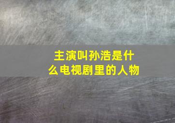 主演叫孙浩是什么电视剧里的人物