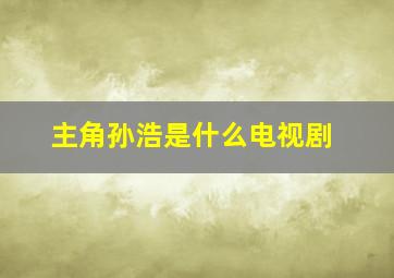 主角孙浩是什么电视剧