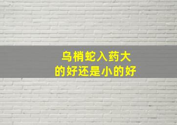 乌梢蛇入药大的好还是小的好