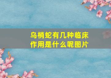 乌梢蛇有几种临床作用是什么呢图片