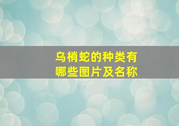 乌梢蛇的种类有哪些图片及名称