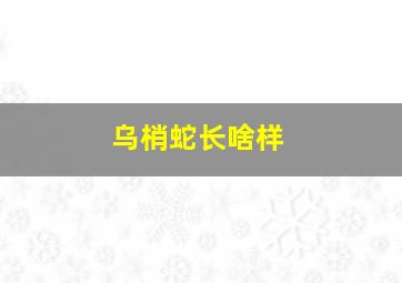 乌梢蛇长啥样